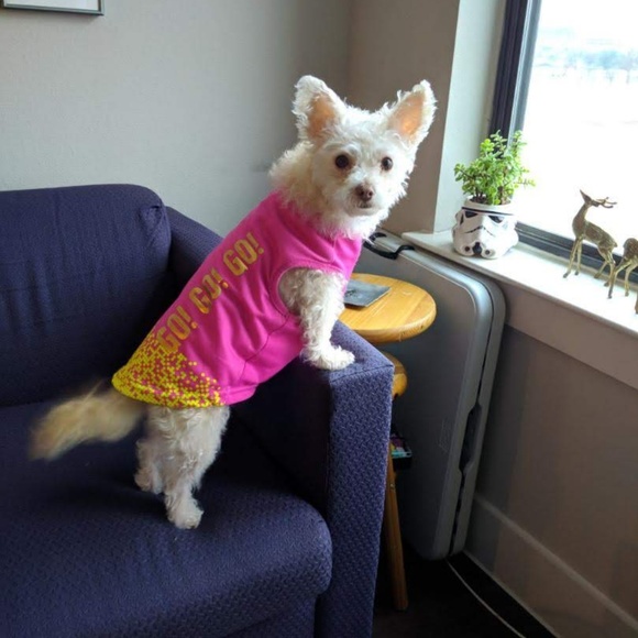 Meet your Posher, Sara - Picture 2 of 6